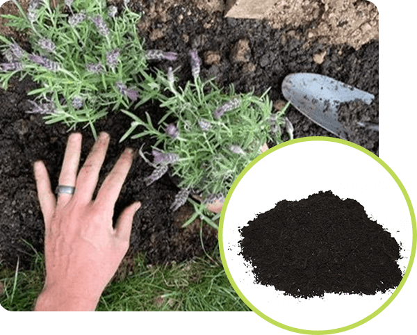 Beds and Borders Compost Soil Conditioner