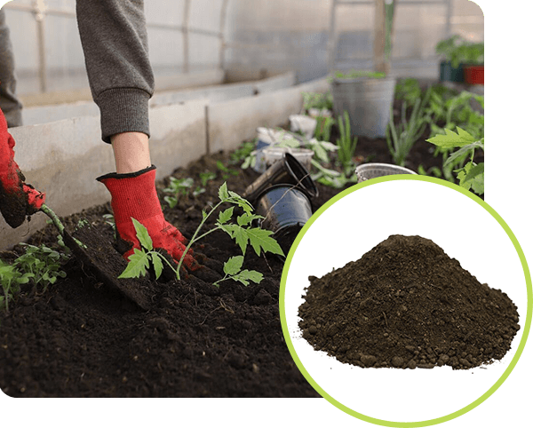 Organic Garden Topsoil