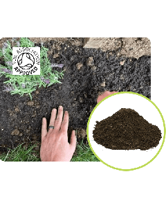 beds and border topsoil logo