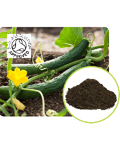 Vegetable Topsoil